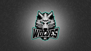 „Wolves“ turėtų pasipildyti pirmu naujoku