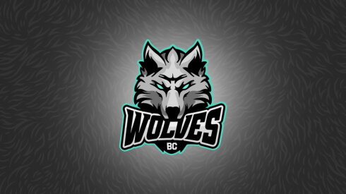 „Wolves“ turėtų pasipildyti pirmu naujoku